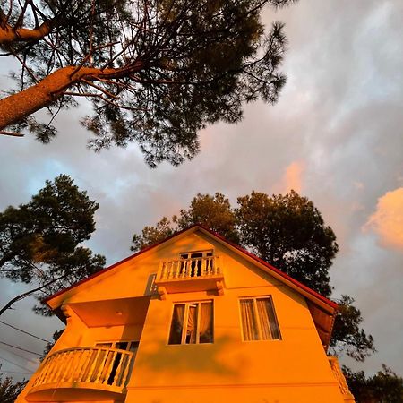 Kaprovani Villa 22 셰크베틸리 외부 사진