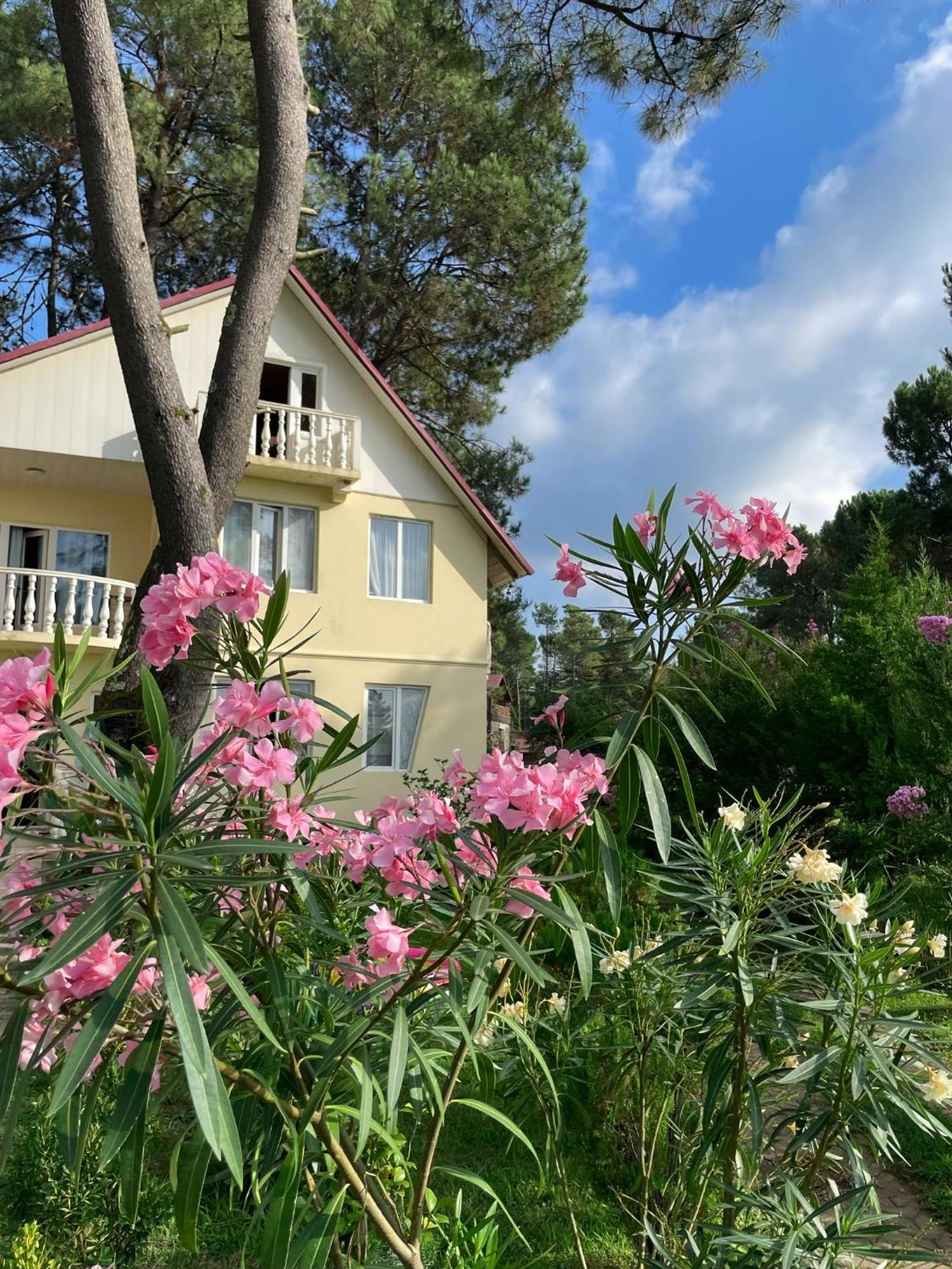 Kaprovani Villa 22 셰크베틸리 외부 사진
