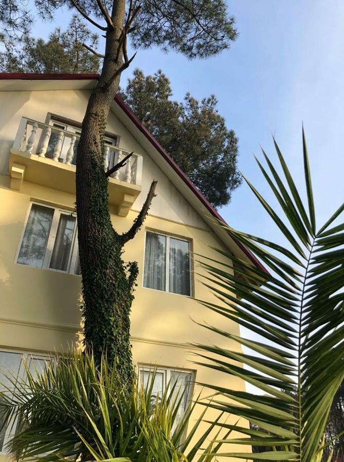 Kaprovani Villa 22 셰크베틸리 외부 사진